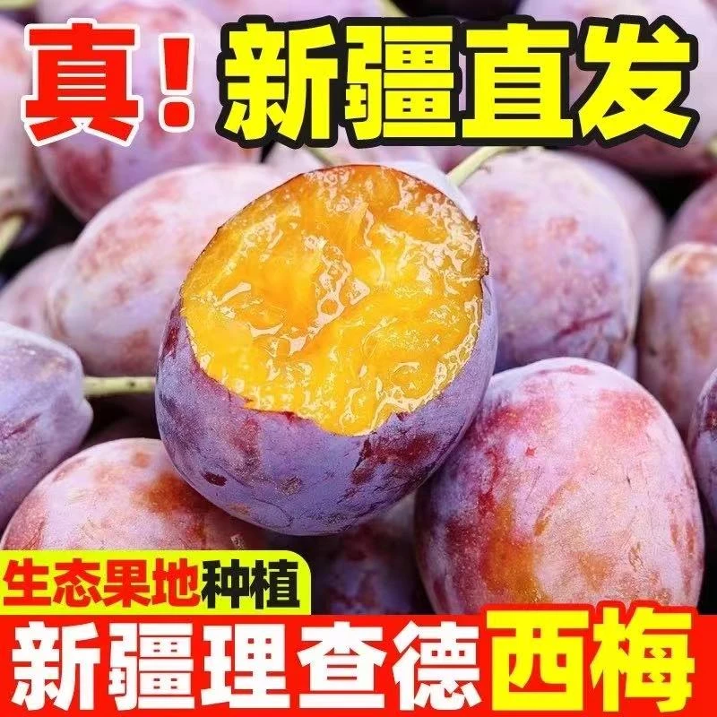 【顺丰包邮】新疆西梅鲜果当季甜西梅新鲜水果脆甜西梅整箱包邮