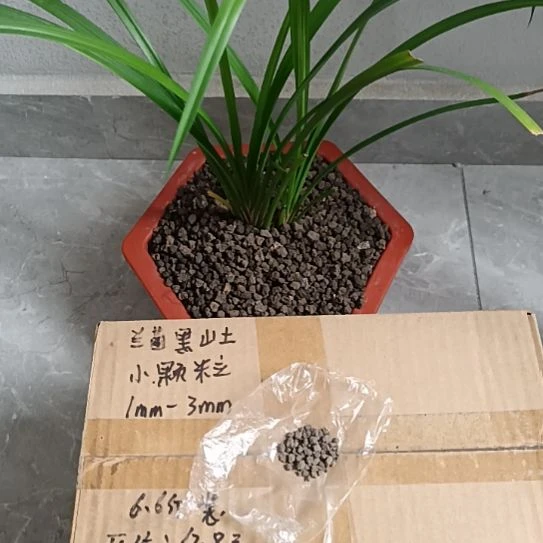 玄***马兰菌黑山土小颗粒6.6斤