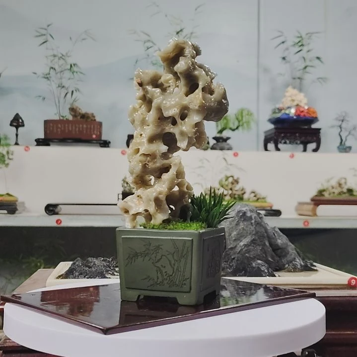 盆景，菖蒲，玉玲珑，