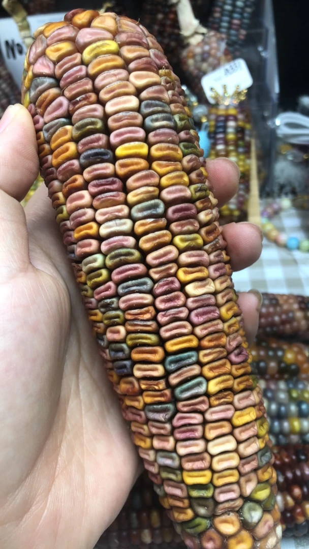 小玉米摆件挂件，一物一拍私拍不发