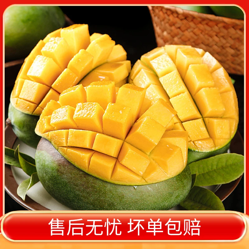 【大夏臻品】攀枝花普通凯特芒果水果产地直发当季新鲜水果
