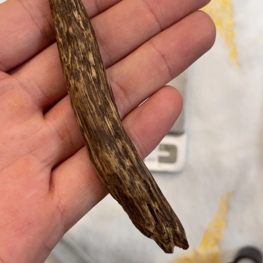 沉香沉香碎屑越南芽庄都彭