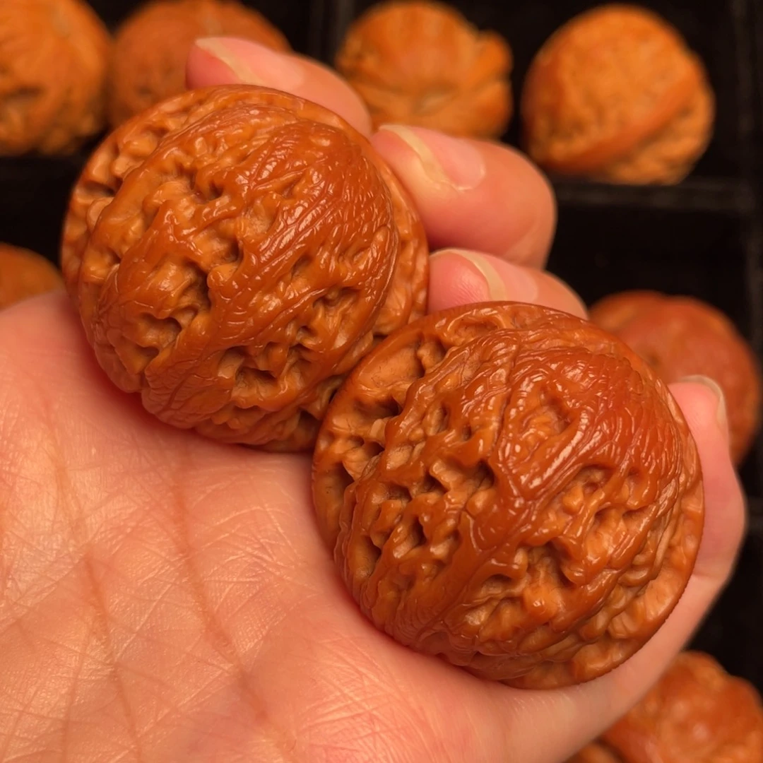 秦岭野生文玩核桃