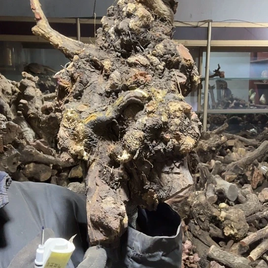 香榧木红*火琉璃的毛料摆件