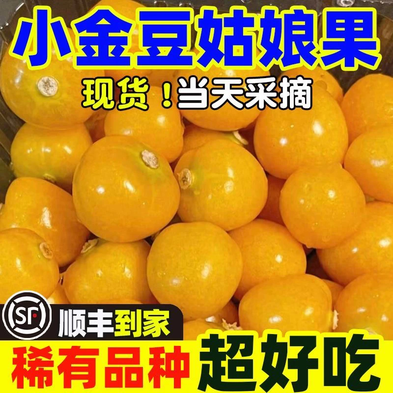 【顺丰包邮】东北姑娘果菇娘果洋姑娘甜菇娘灯笼果东北黄姑娘菇茑果