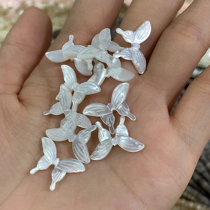 一个中号白蝶贝蝴蝶