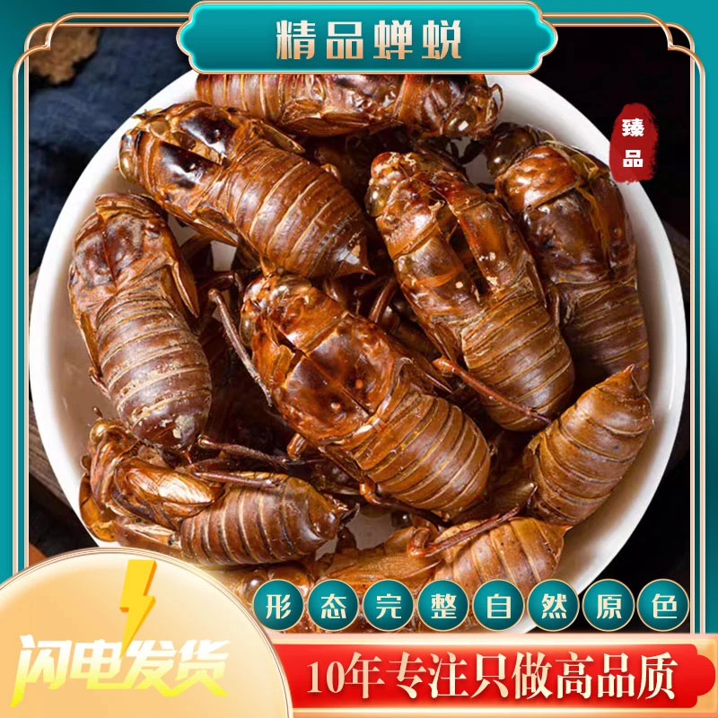 蝉蜕正品 蝉脱中药材 蝉蜕壳蝉壳蝉衣蝉皮蝉退虫退知了壳皮