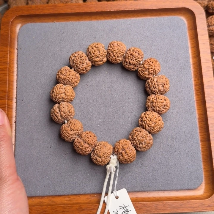 菩提6号尼泊尔大金刚20蜂窝梅花