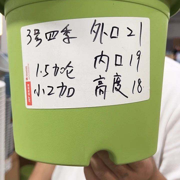 特价3号四季口21高18混色10个无托
