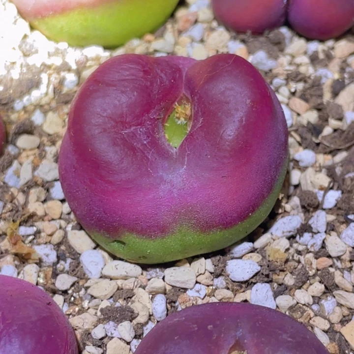 爱***.4888888808888888888888