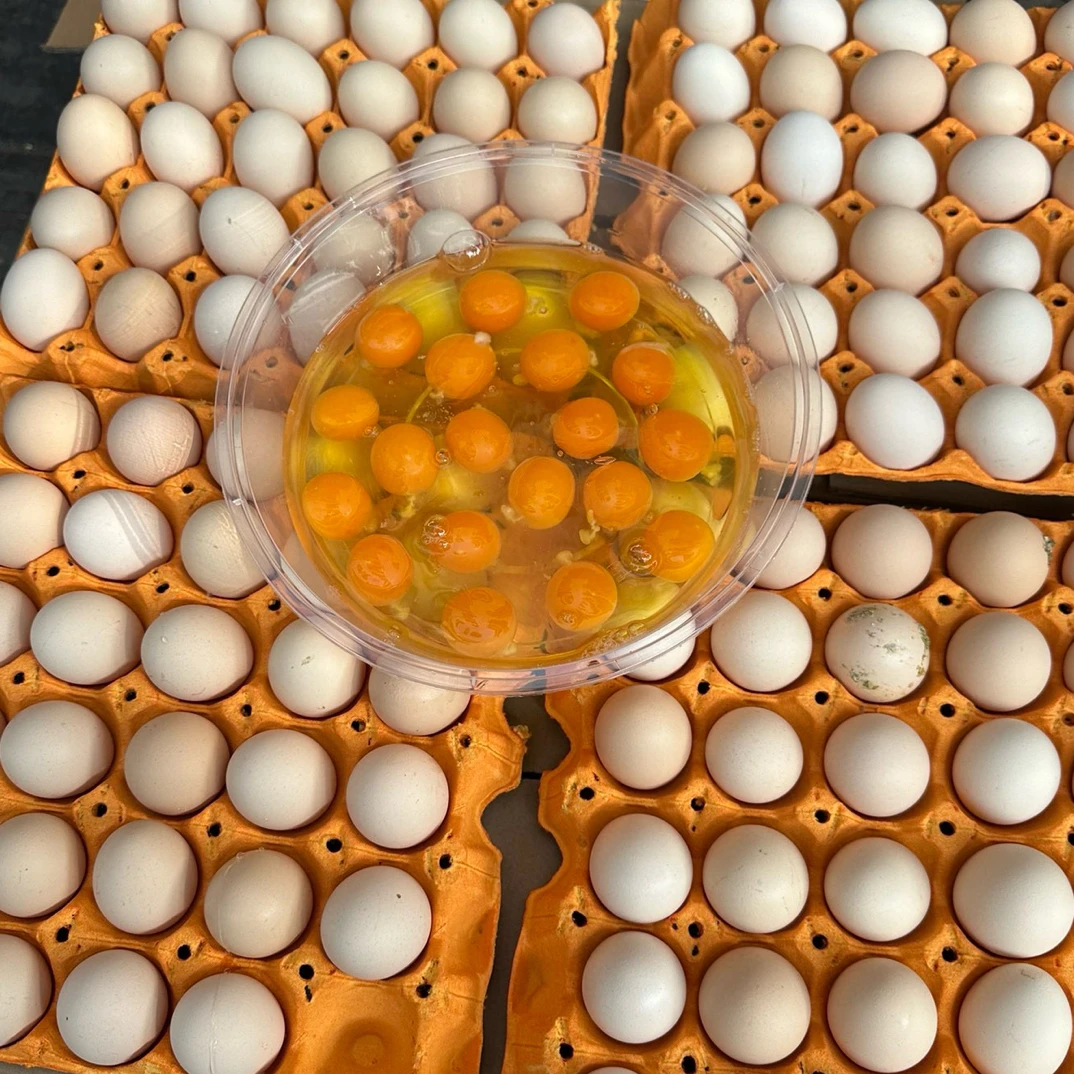 勐旺土鸡蛋30个一板鸡蛋