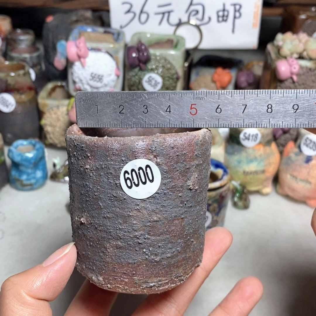 拍3送一个小礼物