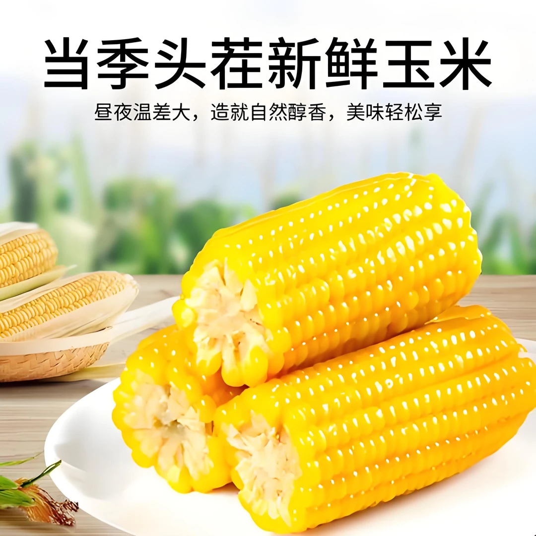 鲜笨玉米新鲜老式正宗山东特产新鲜黄玉米棒子代餐硬玉米非甜糯