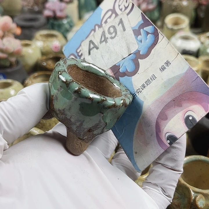 Y**a491密密麻麻密密麻麻