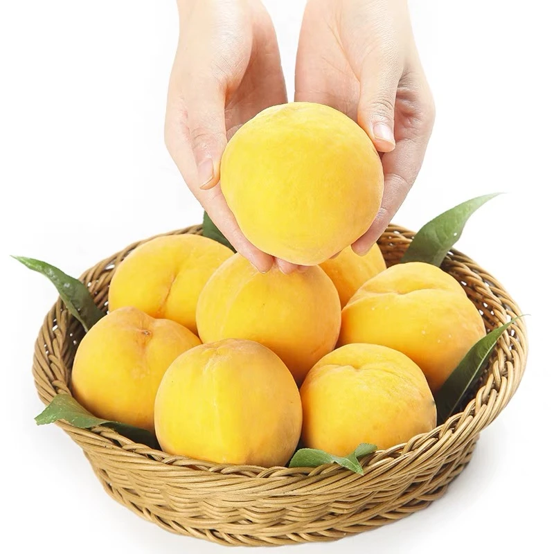 山东蒙阴黄毛桃纯甜黄金蜜桃黄皮黄肉吃正宗黄桃产地