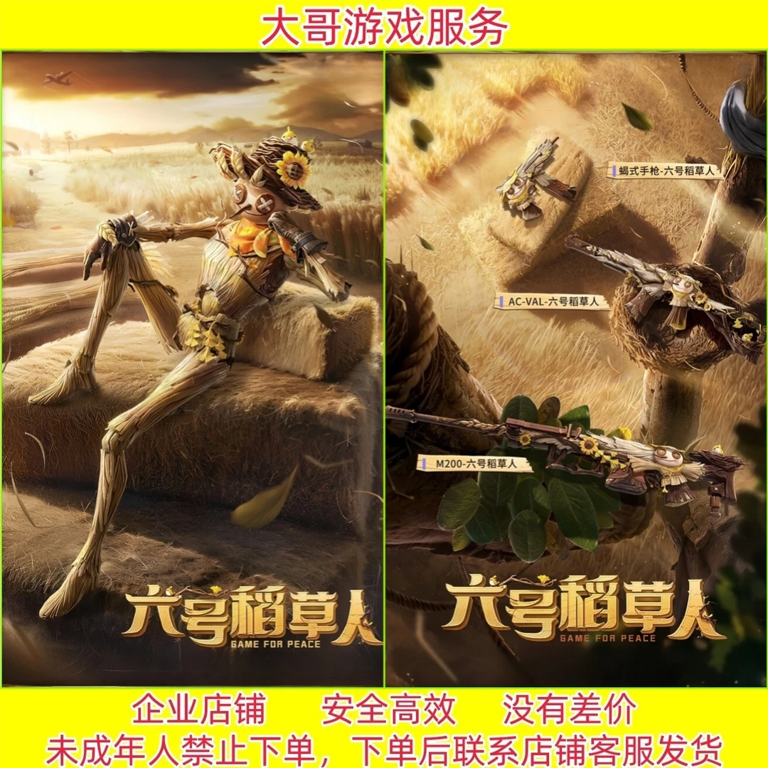 和平精英【六号稻草人】角色 M200 VC-VAL 蝎式手枪皮肤 头盔 背包
