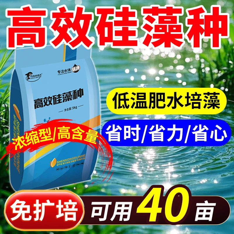 渔丹高效硅藻种鱼虾蟹塘肥水培藻培虫有效水产养殖  硅藻藻种5kg