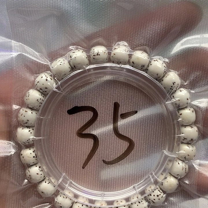 星月菩提把件星月
