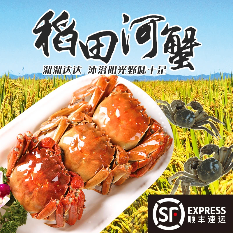 【活蟹】正宗盘锦稻田蟹1.0～1.3两［公1.5斤+母1.5斤］顺丰产地直发