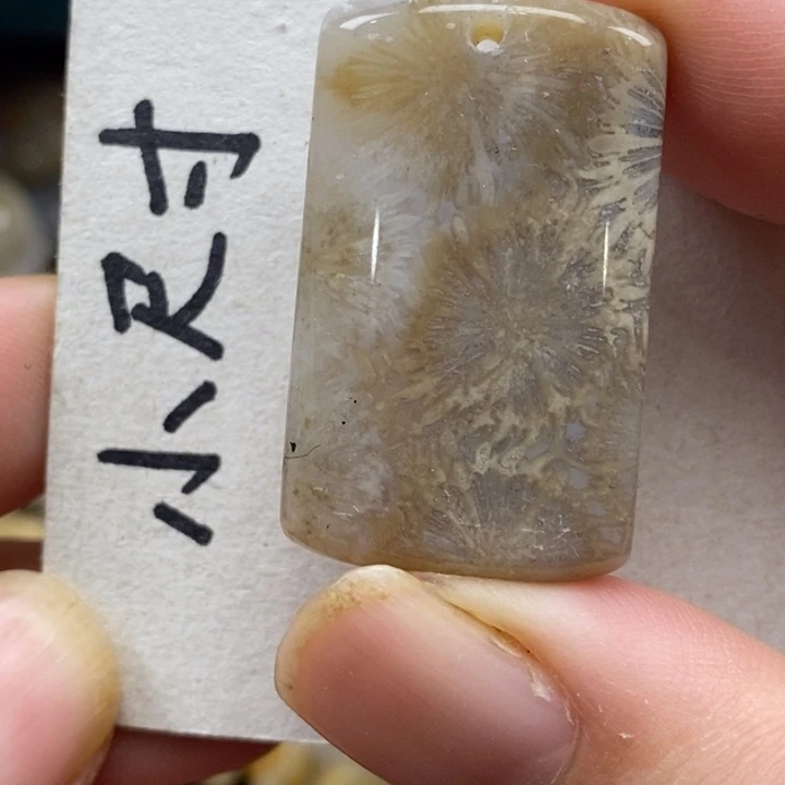 硅化珊瑚（珊瑚玉）未镶嵌颈饰