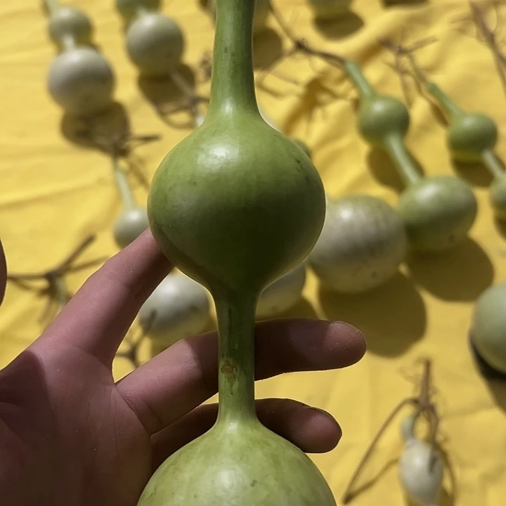 建***哥三庭文玩葫芦摆件