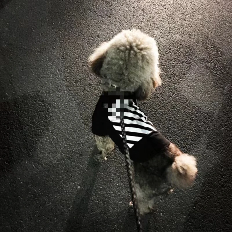 狗狗衣薄款夏装泰迪比熊法斗小型犬小狗短袖透气宠物