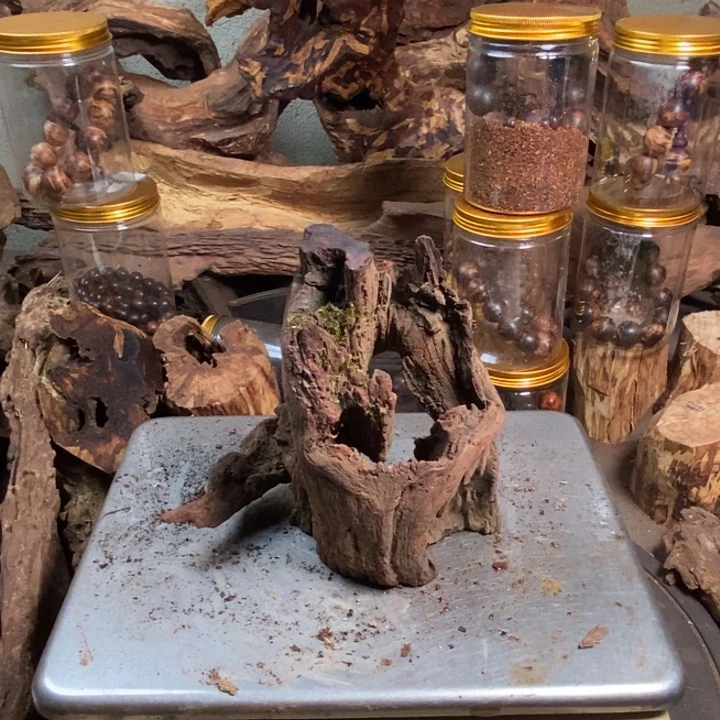 黄花梨/降香黄檀春****清