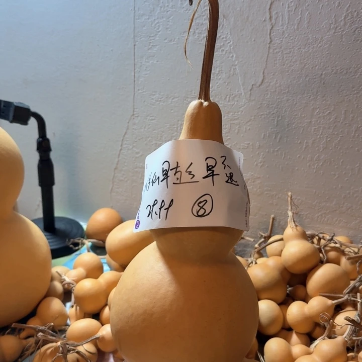修***早木质类中号不退不换29.99.8号