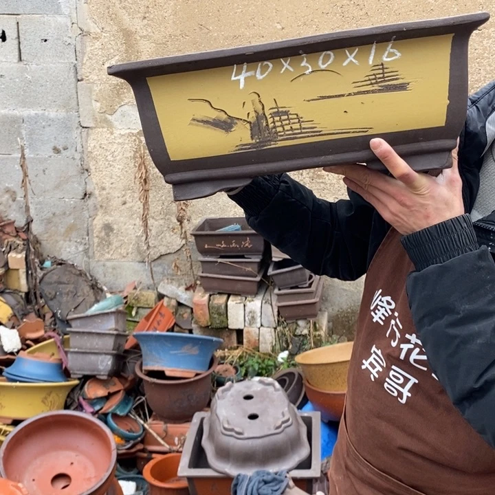 红陶紫砂艺术学院美术学院学生