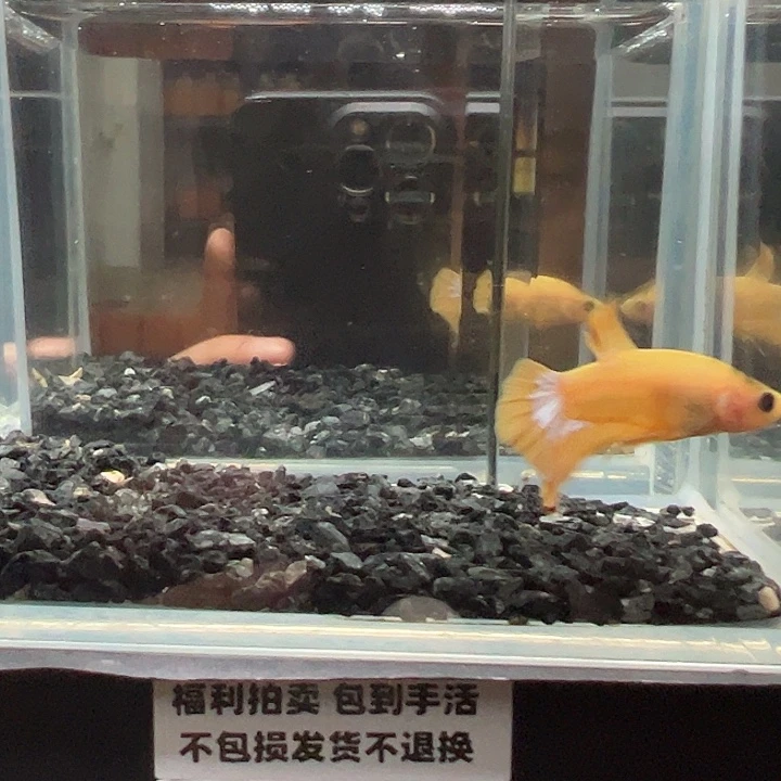 斗鱼满30包邮11日38