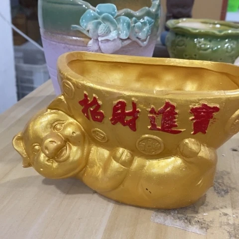 金色猪1331313434