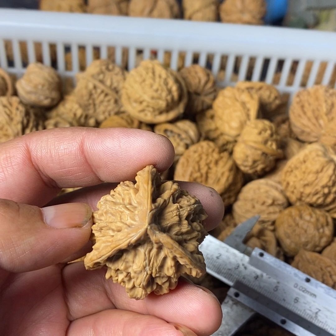 用***5大叶紫檀（黑酸枝木类）