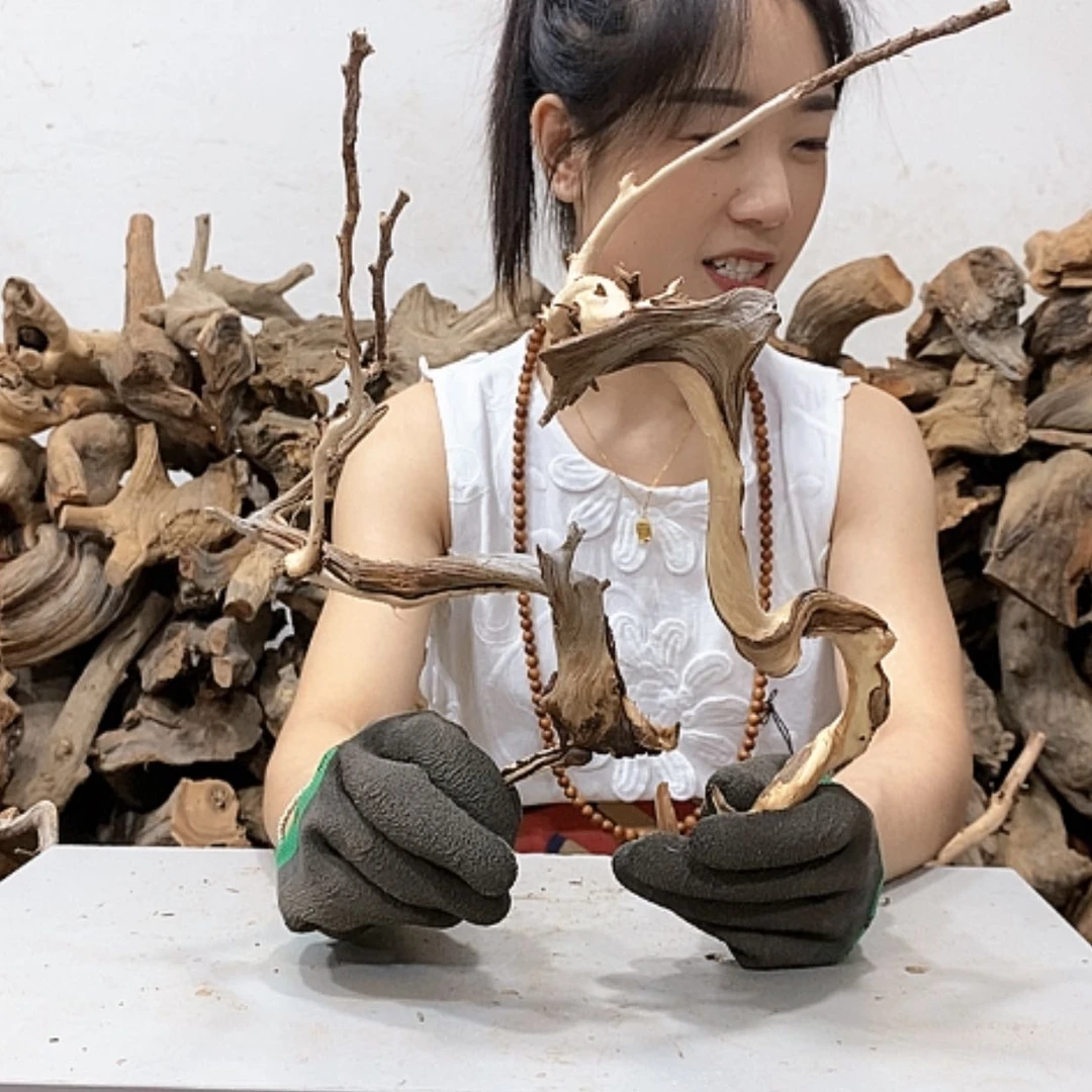 【闪购商品】柏木清**尘我们都是好孩子