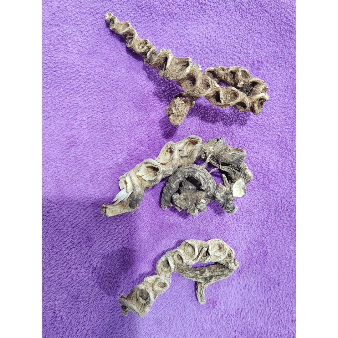 [阿秀的山货]天王参X    A1