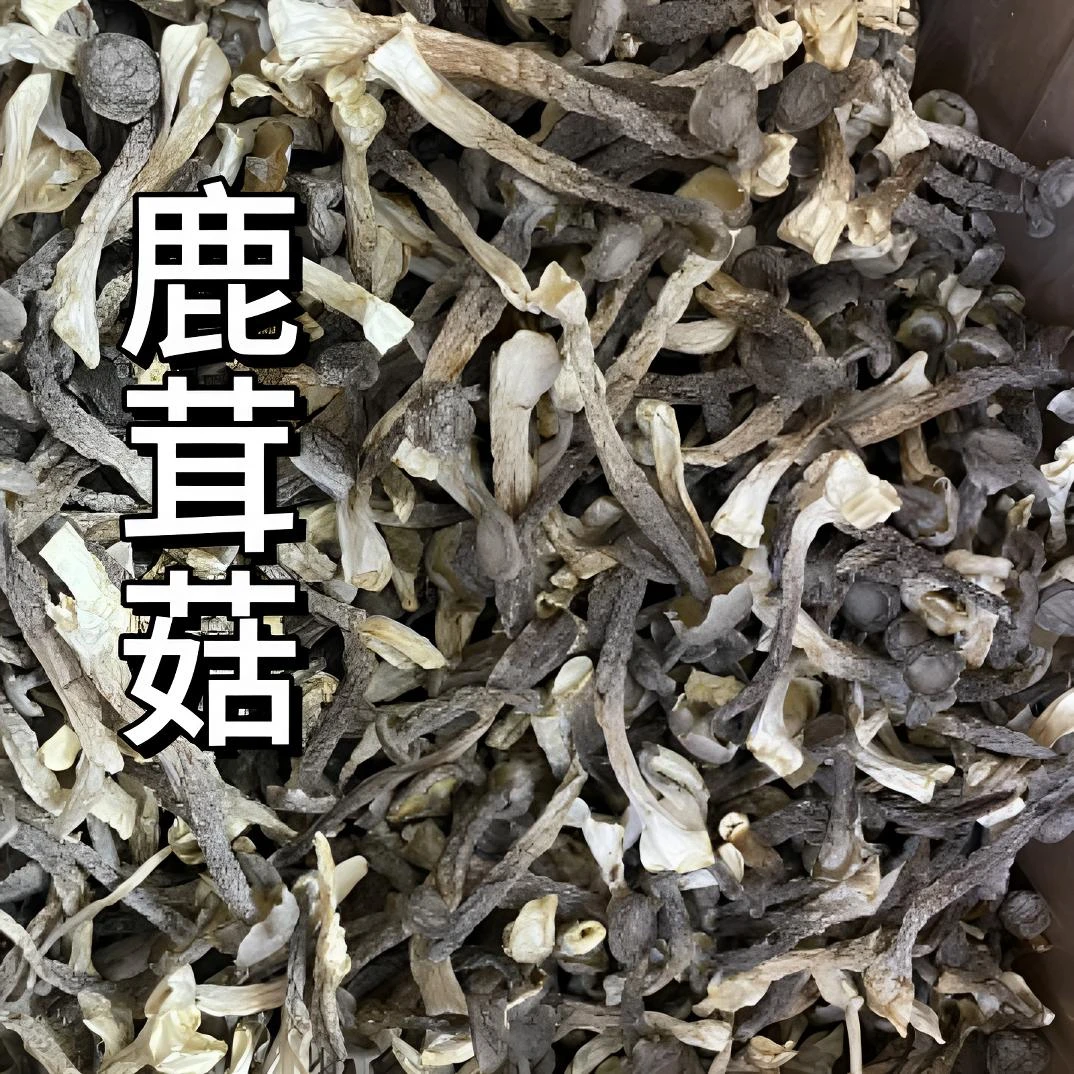 【无硫富硒高山鹿茸菇】自然晾晒干货炒菜煲汤凉拌脆嫩有营养