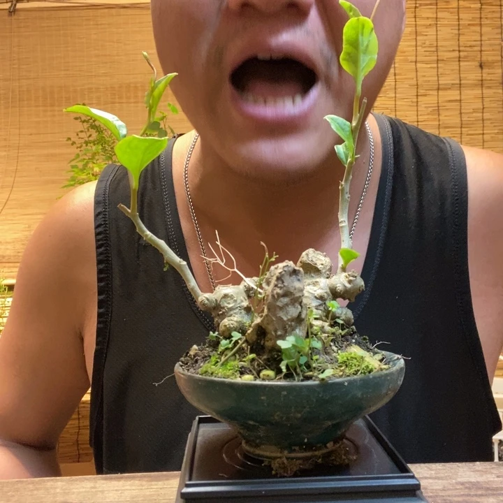 一物一拍所见即所得623