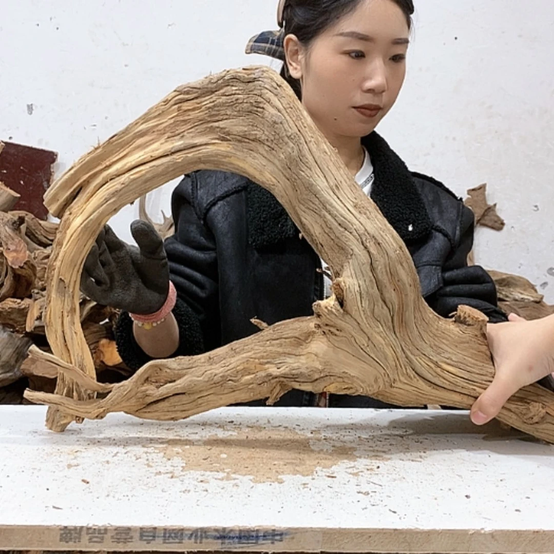 【闪购商品】柏木随**匠我们都是好孩子