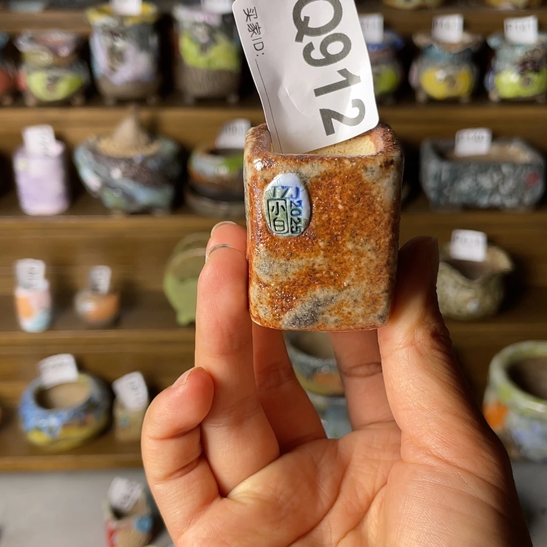 小白孤品 匣钵土 内口2.5左右 百搭