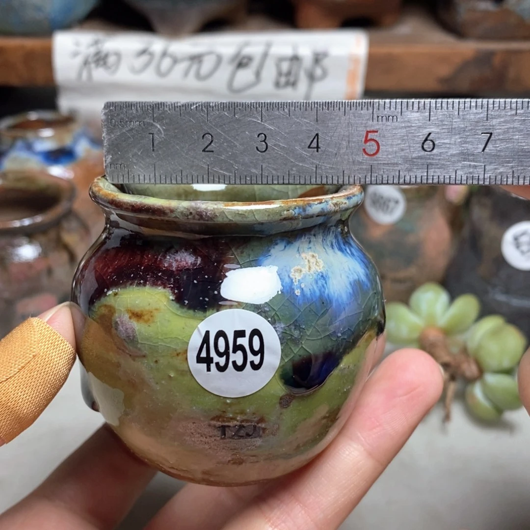 拍5送一个小礼物