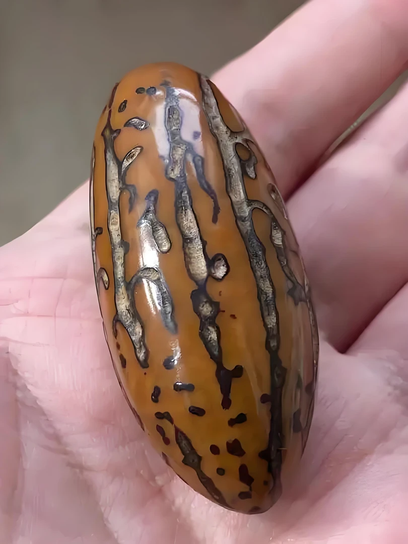 千眼菩提【老树果油果】手把件车挂件千眼菩提果菩提果文玩手把件