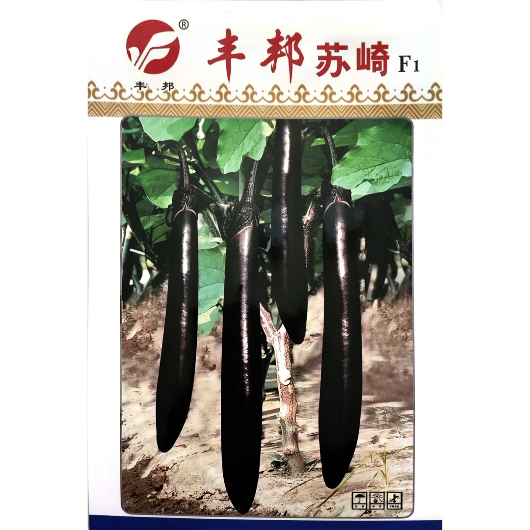 早熟甜糯烧烤茄子种子皮薄紫黑色甜糯春夏秋四季播蔬菜籽长茄种子
