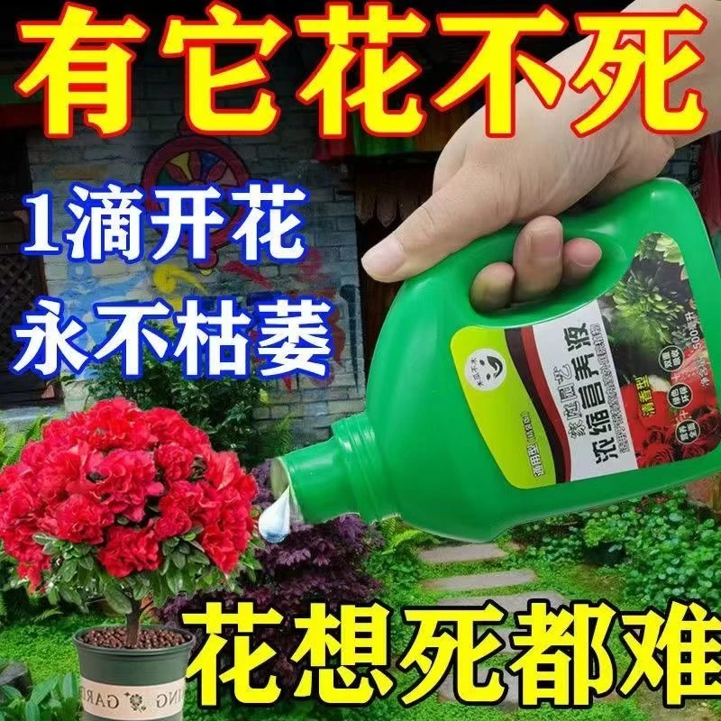 【西藏包邮】植物营养液花肥发财树绿萝富贵竹水培盆栽家用花卉