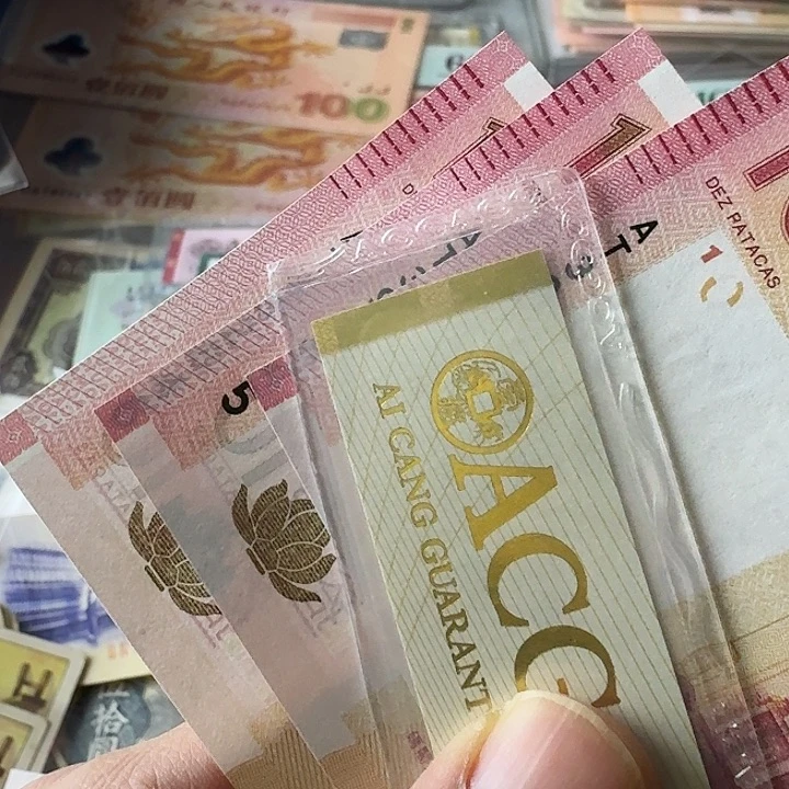 m****木全新……………………568……