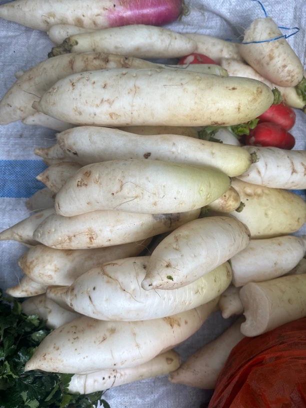 贵州大学生助农*白萝卜