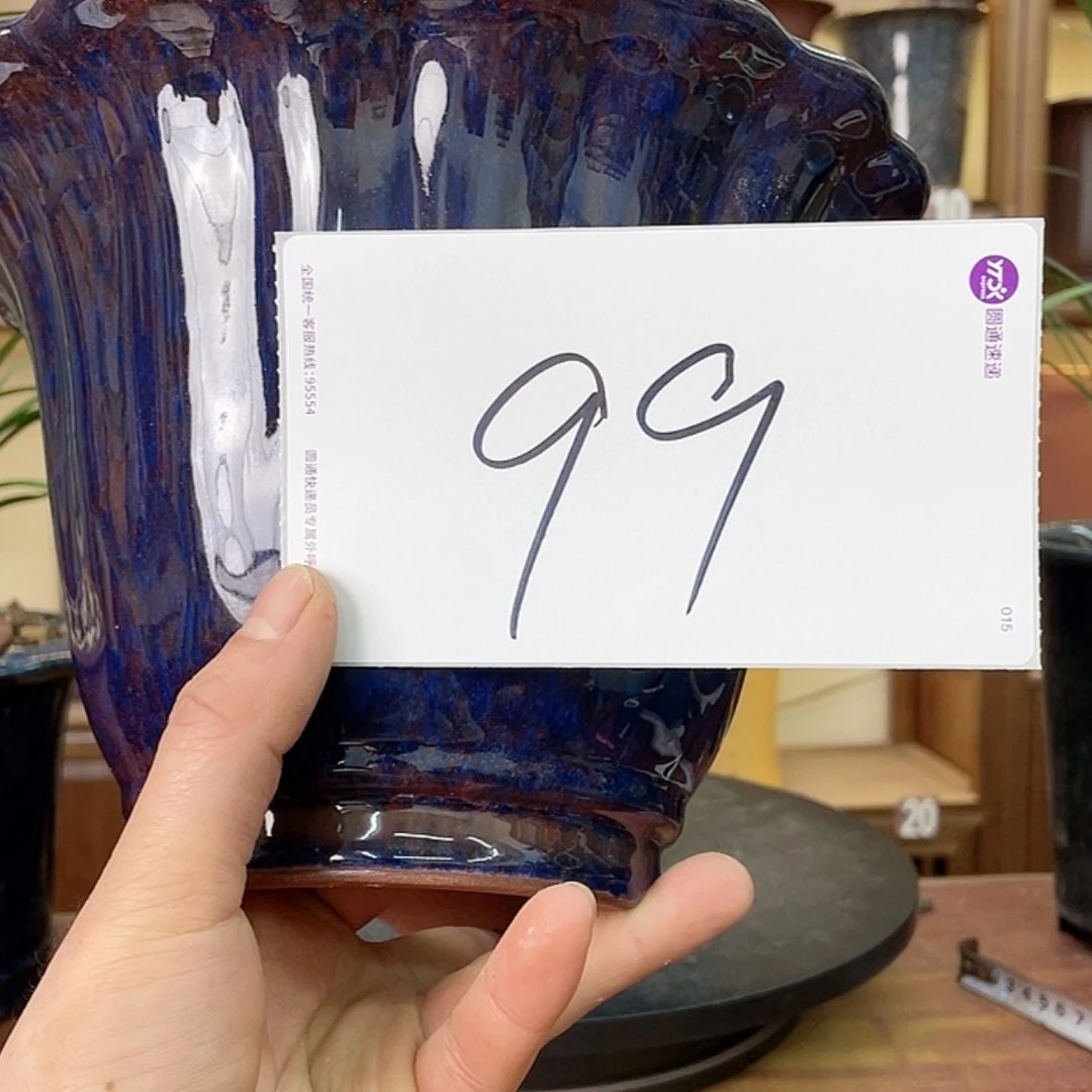 【闪购商品】紫砂花盆林*兰花752585888966558