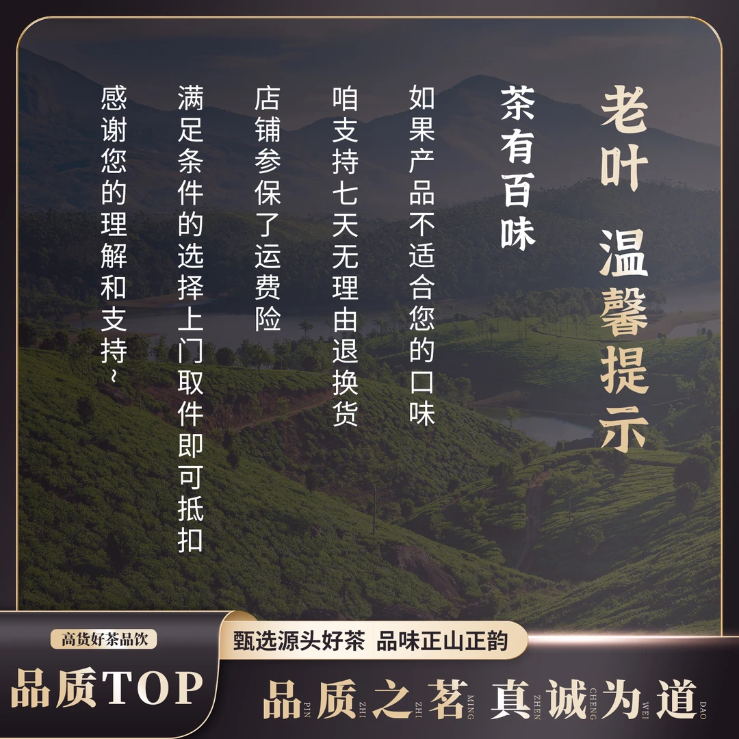 【老叶茶馆】野生红茶
