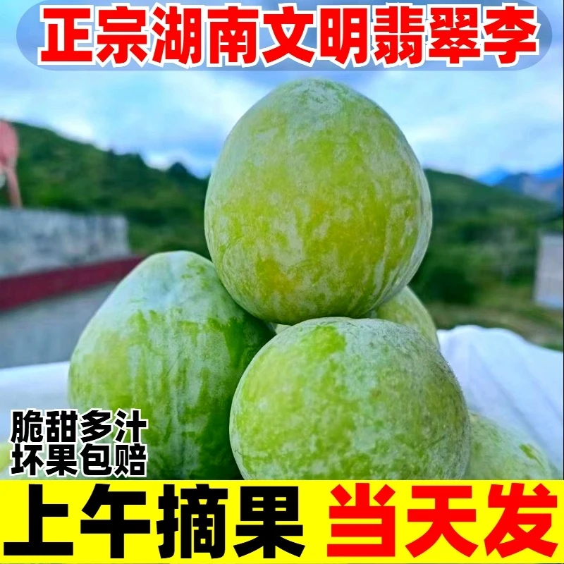 【京东快递】正宗湖南汝城文明翡翠李新鲜水果绿宝石 爆甜多汁