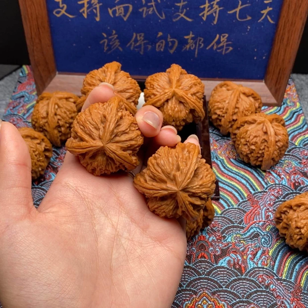 【闪购商品】凤*白狮