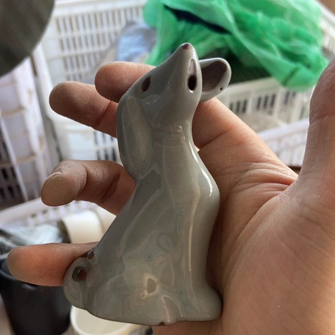 杯直播链接直播链接