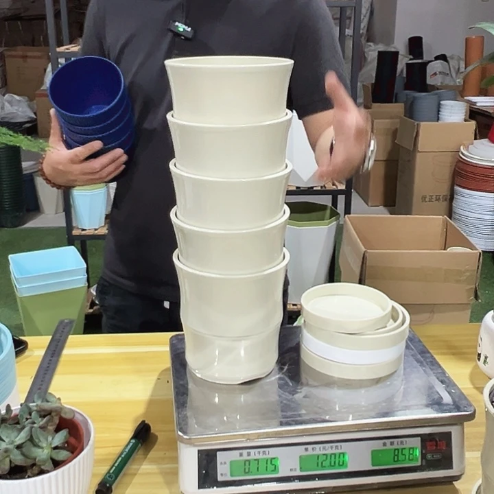竹节口13.6高14米色5个带托